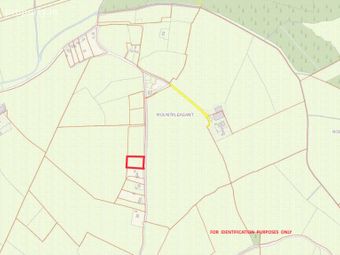 Mount Pleasant C.1 Acre, Tinahely, Co. Wicklow, Tinahely, Co. Wicklow - Image 2