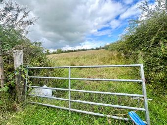 Cloonbo, Mohill, Co. Leitrim - Image 4