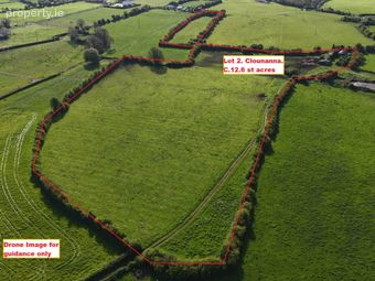 Clounanna, Patrickswell, Limerick, Co. Limerick, Patrickswell, Co. Limerick - Image 3