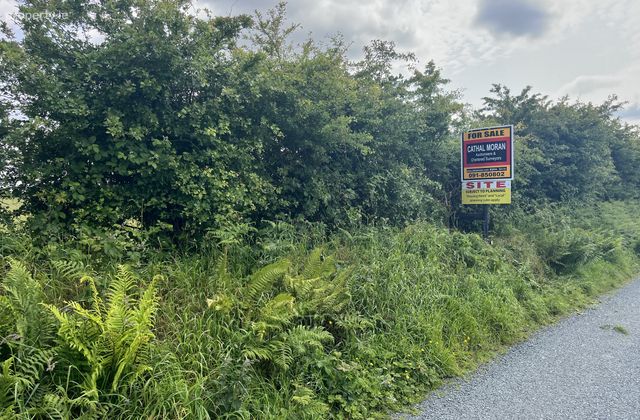 Currafaireen, Monivea, Co. Galway - Click to view photos