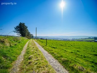 Caherlevoy, Mountcollins, Co. Limerick - Image 5