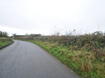 Whitepark, Approx. 6.29 Hectares / 15.54 Acres, Roscrea, Co. Tipperary, Roscrea, Co. Tipperary - Image 3