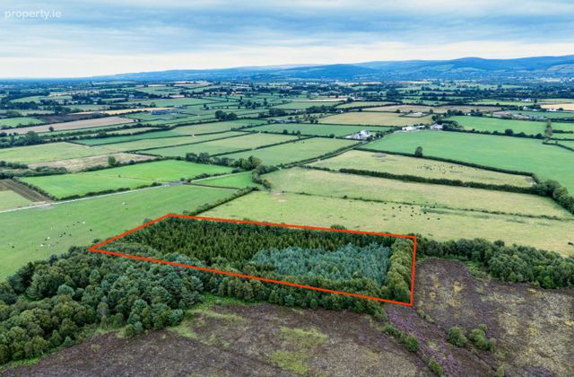 Rathure North, Killyon, Birr, Co. Offaly., Rath, Co. Offaly - Click to view photos
