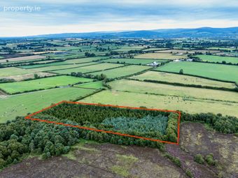 Rathure North, Killyon, Birr, Co. Offaly., Rath, Co. Offaly