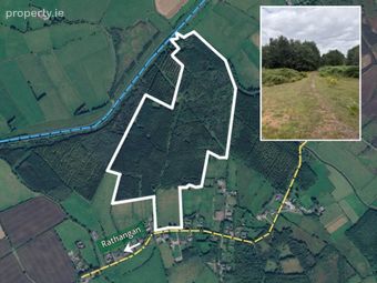 81.6 Acres Feighcullen, Rathangan, Co. Kildare, Rathangan, Co. Kildare - Image 2