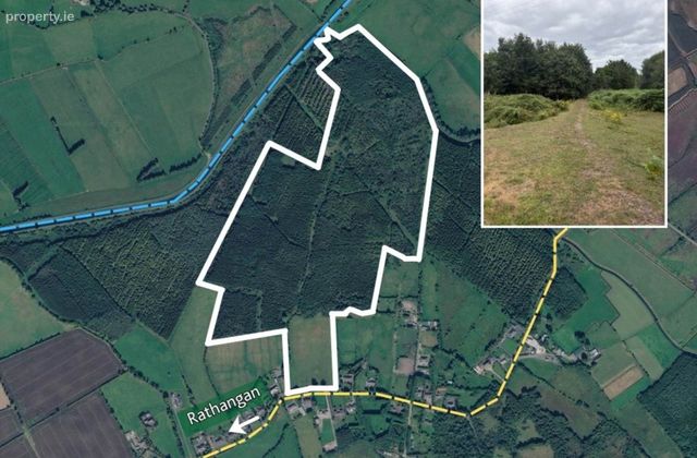 81.6 Acres Feighcullen, Rathangan, Co. Kildare, Rathangan, Co. Kildare - Click to view photos
