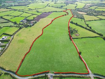 Slievedurda Borris Co Carlow, Borris, Co. Carlow