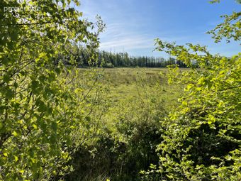 Land C. 4 Acres / 1.62 Hectares, Dunnstown, Naas, Co. Kildare - Image 4