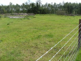 Monamonra, Errill, Co. Laois - Image 4