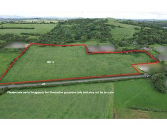 Grange, Kilmallock, Co. Limerick, Grange, Co. Limerick - Image 2