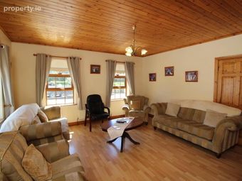 Grenanstown, Toomevara, Nenagh, Co. Tipperary, Sallypark, Co. Tipperary - Image 4