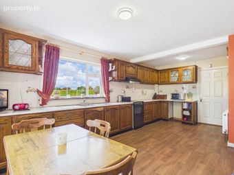 Shanballyduff, Moyne, Thurles, Co. Tipperary, Moyne, Co. Tipperary - Image 4
