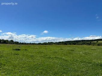 Lickfinn, Ballynonty, Co. Tipperary