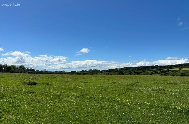 Lickfinn, Ballynonty, Co. Tipperary - Click to view photos