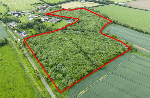 C. 12.18 Acres At Ellistown, Ballyboughal, Co. Dublin, Ballyboughal, Co. Dublin - Click to view photos