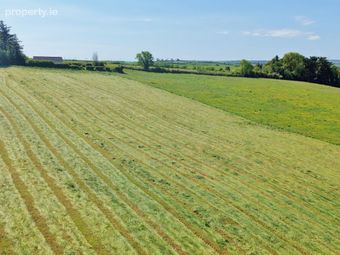 (lot 2) - 9.9 Acres At Tanavalla, Listowel, Co. Kerry - Image 5