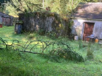 Bunnaglass, Loughrea, Co. Galway, Bunnaglass, Co. Galway - Image 3