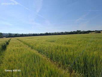 Rathdaniel, Collon, Co. Louth
