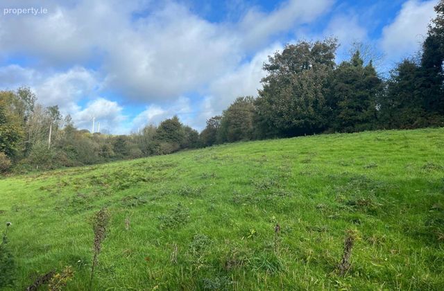Ballynultagh (1.8 Acre Site), Shillelagh, Co. Wexford, Shillelagh, Co. Wicklow - Click to view photos
