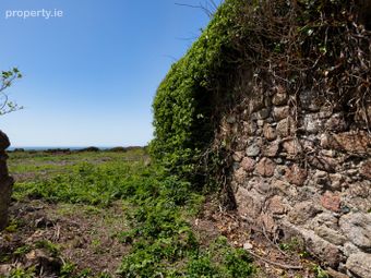 C. 5 Acres At Lane Of Stones, Carne, Co. Wexford., Carne, Co. Wexford - Image 5