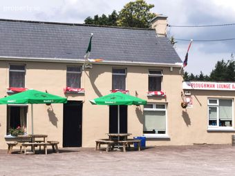 The Ploughman, Ballinagree, Ballynagree, Co. Cork - Image 4