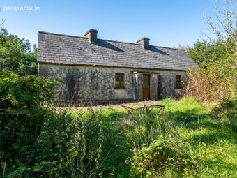 Derrylow, Boyle, Co. Roscommon, Rn3682f (for Id), Croghan, Co. Roscommon - Image 4