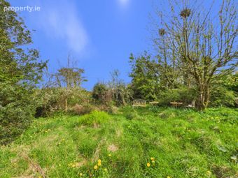 Clough, Gurteen, Ballinasloe, Co. Galway - Image 4