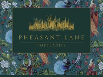 Pheasant Lane, Portlaoise, Co. Laois - Image 5