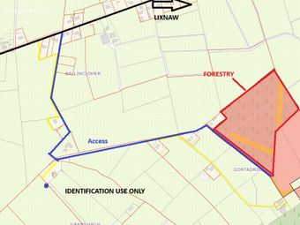 15 Acres/6.1 Ha Forestry Plantation At Gortadrislig, Lixnaw, Co. Kerry - Image 2