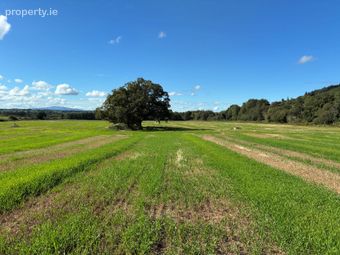 Killurney, E91 T680, Clonmel, Co. Tipperary