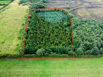 Rathure North, Killyon, Birr, Co. Offaly., Rath, Co. Offaly - Image 3