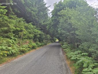 Scurlocksleap, Blessington, Co. Wicklow - Image 4
