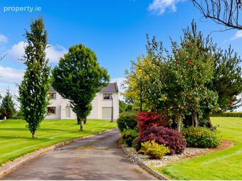 Tomlane, Oylegate, Co. Wexford, Oilgate, Co. Wexford - Image 3
