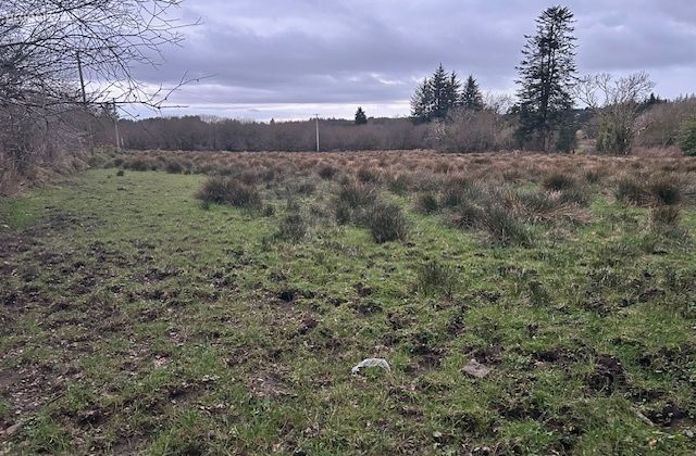 Tureenamult, Gneeveguilla, Gneevguilla, Co. Kerry - Click to view photos