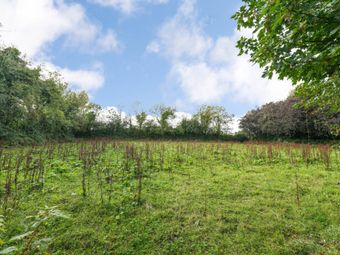 Colvinstown, Tara, Co. Meath, Tara, Co. Meath