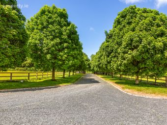 Mylerstown Park Stud, Mylerstown, Carbury, Co Kildare, Carbury, Co. Kildare - Image 5