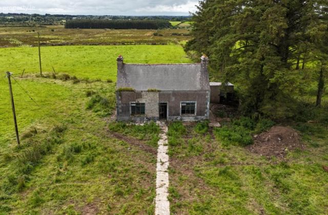 Baslick, Castlerea, Co. Roscommon, Tully, Co. Roscommon - Click to view photos