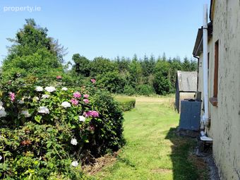 Coolmeen, Labasheeda, Co. Clare - Image 5