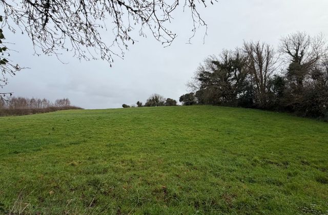 Cloontymurphy, Barefield, Co. Clare - Click to view photos