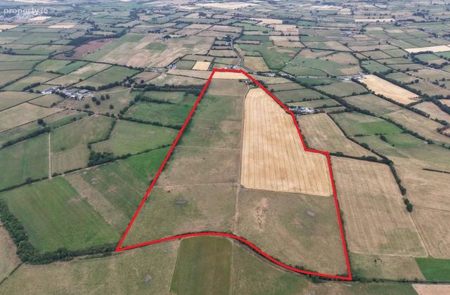 Ridge, Urlingford, Co. Kilkenny - Click to view photos