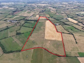 Ridge, Urlingford, Co. Kilkenny