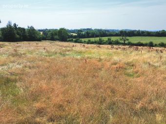 Ballyoughna, Ballygarrett, Co. Wexford - Image 3