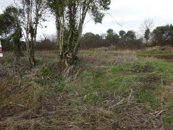 Gardenham, Claregalway, Co. Galway - Image 2