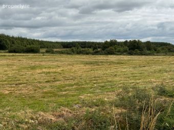 Kilcreevanty, Tuam, Co. Galway - Image 2