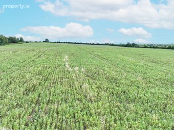 Baronstown West, Milltown, Milltown, Co. Kildare - Image 5