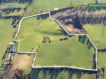 21.5 Acres Dowdenstown Great, Ballymore Eustace, Naas, Co. Kildare, Punchestown, Co. Kildare - Image 2