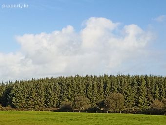 Knockerra, Cooraclare, Kilrush, Co. Clare