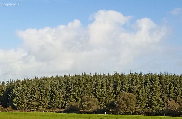 Knockerra, Cooraclare, Kilrush, Co. Clare - Click to view photos