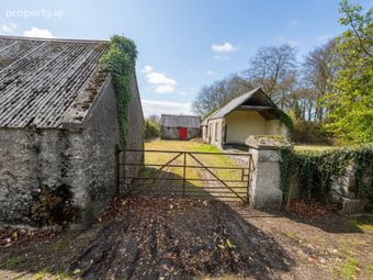Ruins On C. 6.12 Acres / 2.48 Hectares, Killmoat Upper, Rathdangan, Co. Wicklow - Image 4