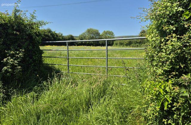 Killoughteen, Newcastle West, Co. Limerick - Click to view photos